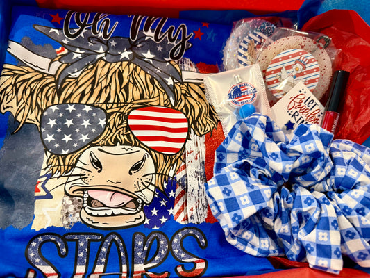 June T-Shirt Box • Fourth of July Themed!!!